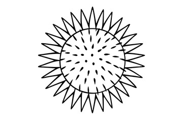 Obraz premium sea urchin line art silhouette vector illustration