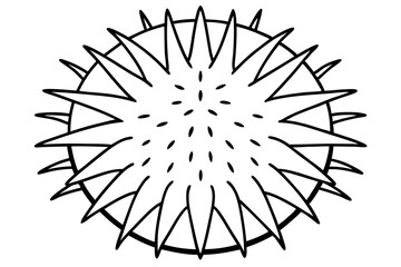 Obraz premium sea urchin line art silhouette vector illustration