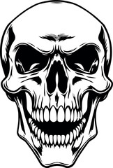 Head Vectors and Their Applications in Physics