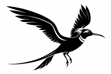tropicbird line art silhouette vector illustration