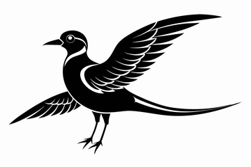 tropicbird line art silhouette vector illustration