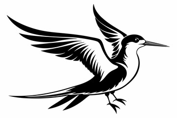 tropicbird line art silhouette vector illustration