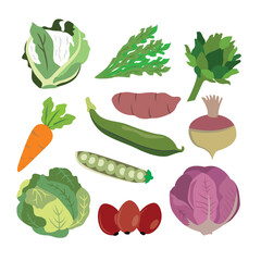 Fresh Organic Vegetables for a Healthy Life