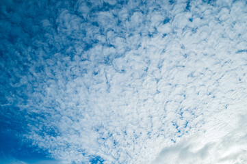 Dramatic blue sky background. Picturesque colorful clouds lit by sunlight
