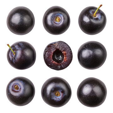 Fresh juicy black plums studio shot nine whole and one half plum isolated transparent background