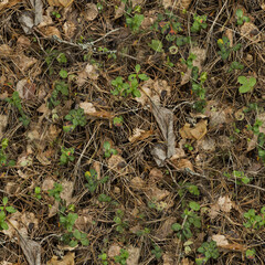 dry and green grass and leafs