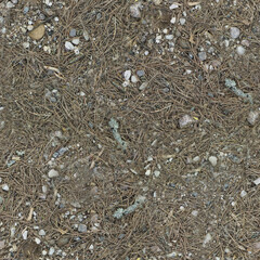 forest small stones and needles garbage in the ground