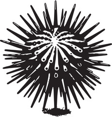 Obraz premium Close-Up of a Spiny Sea Urchin on Ocean Floor – Marine Life and Underwater Theme