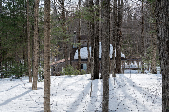 Nestled in the heart of a serene winter forest, a rustic sugar shack prepares for the maple sugar water collection.
