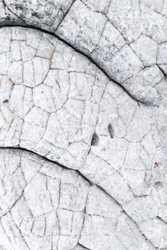 Close-up of abstract patterns on white rocks
