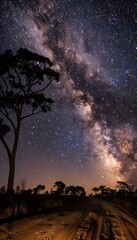 Starry Night Over Rural Road with Silhouetted Trees and Glowing Milky Way