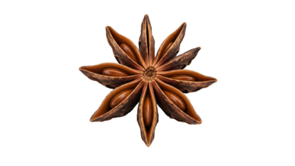 Star Anise isolated on transparent background