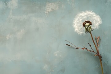 A single dandelion puffball stands against a textured blue background
