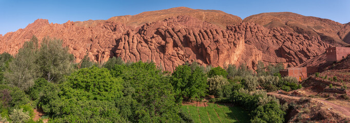 The impressive cliffs in the Dades Gorges. A tree is in the middle of a field with a rocky hill in...