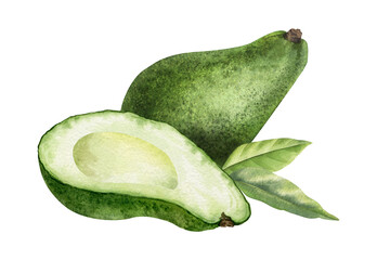 Seedless Avocado, whole fruit and leaves. Isolated hand drawn watercolor illustration. Vegetable Composition of health food for menu, package, cosmetic, textile, stationery, cards, recipe