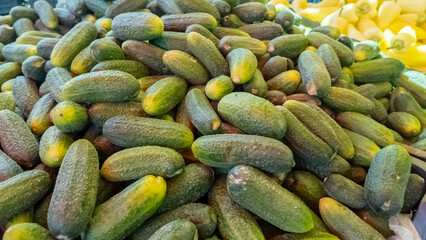 Fresh cucumbers piled high at a market, symbolizing harvest season, healthy eating, and summer produce