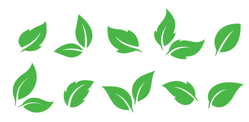 Green leaves vector set icons