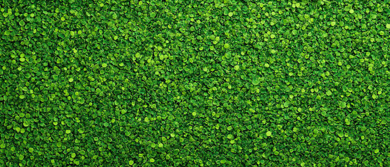 lush green backdrop filled with small, vibrant leaves creates refreshing and natural atmosphere