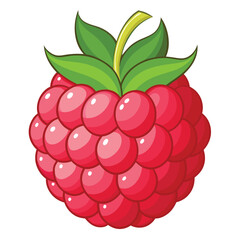 raspberry with leaf