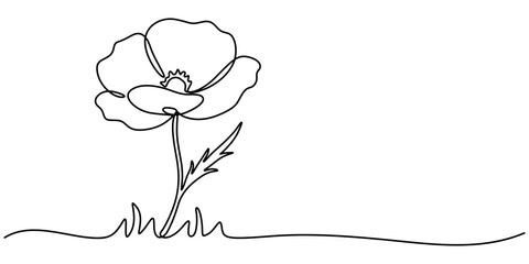 Poppy, Remembrance Day or Veterans Day Continuous Line Drawing with Editable Stroke and Copy Space, Abstract one line continuous poppy flower drawing in minimal style, Poppy flowers in continuous line