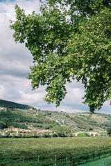 Fototapety na wymiar - Fototapeta24.pl