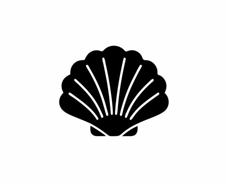 creative details Ice Seashell Collection Icon vector illustration