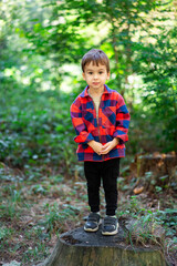Child in green forest. A child in a red checkered shirt stands on a stump surrounded by trees and greenery in a peaceful forest area.
