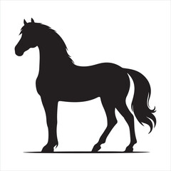 Obraz premium black silhouette of a standing horse