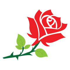 Vector Rose Illustration | Red Rose with Green Leaves | Floral Design