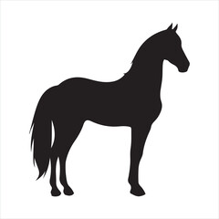 Obraz premium black silhouette of a standing horse