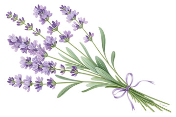 Naklejka premium lavender flowers isolated on white