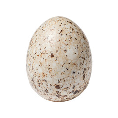 Single guinea fowl egg with a speckled shell centered on a white background