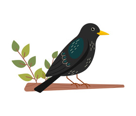 Starling sitting on a branch. Cute bird illustration in flat style.