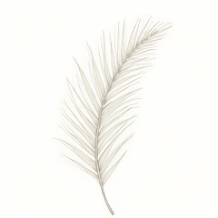 Obraz premium Palm tree illustration for hand-drawn beautiful graphics