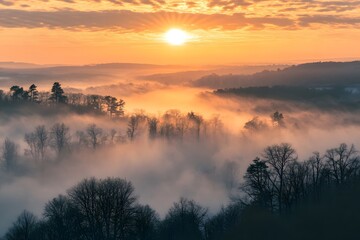 Fototapeta premium Sunrise over a misty valley with golden rays of sunlight piercing through fog, highlighting trees and creating a serene landscape