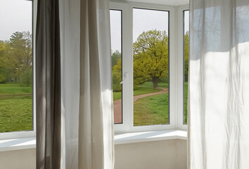 View from the window on the garden green trees and green lawn.   