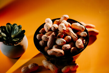 Freshly harvested peanuts in a dark bowl against a vibrant orange background with a succulent plant nearby