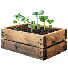Wooden box with soil cut out transparent or white background