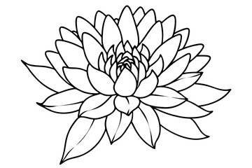aster flower line art silhouette vector illustration