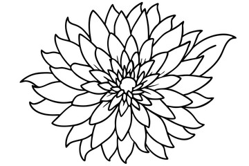 aster flower line art silhouette vector illustration