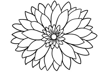 aster flower line art silhouette vector illustration