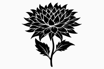 aster flower line art silhouette vector illustration