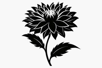 aster flower line art silhouette vector illustration