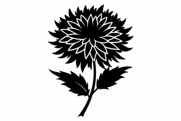 aster flower line art silhouette vector illustration