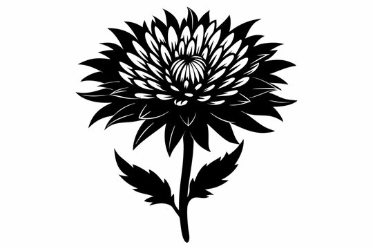 black and white chrysanthemum flower on white clip art preview