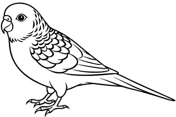 budgerigar line art silhouette vector illustration