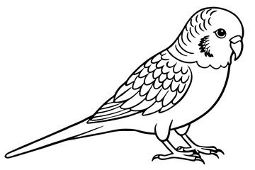 budgerigar line art silhouette vector illustration