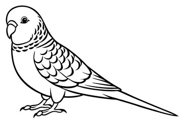 budgerigar line art silhouette vector illustration