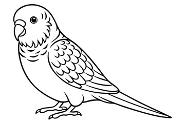 budgerigar line art silhouette vector illustration