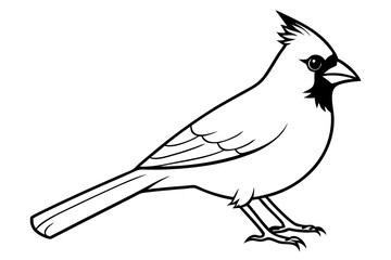 cardinal line art silhouette vector illustration